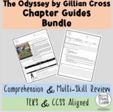 The Odyssey by Gillian Cross Chapter Guides Bundle