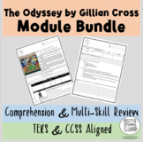 The Odyssey by Gillian Cross Module Bundle