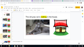 Preview of The Old Gray Cat