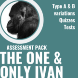 The One and Only Ivan Assessments, Quizzes, Tests