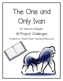 The One and Only Ivan, by K. Applegate, A Set of 18 Projec