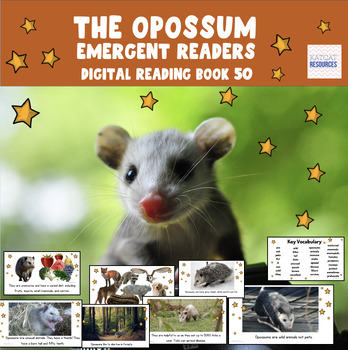 Preview of The Opossum - Early Reader - Google Slides™ ebook - 0050