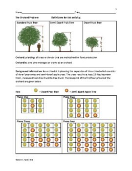 Preview of The Orchard Problem, Answer Key, and Error Analysis Sheet