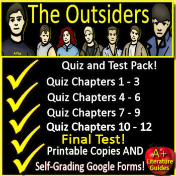 Preview of The Outsiders Chapter Quizzes and Final Test - Printable Copies and Google Forms