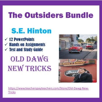 Preview of The Outsiders Bundle