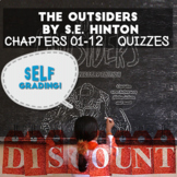 The Outsiders - Chapters 1-12 Quizzes (Blackboard, Moodle,