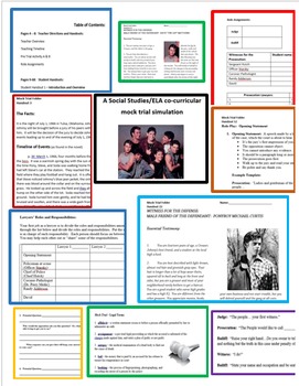 Preview of "The Outsiders" Mock Trial "The People vs. Johnny Cade" - SS/ELA activity
