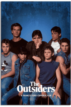 Preview of The Outsiders Test on Novel - (31 Questions) Print + Digital