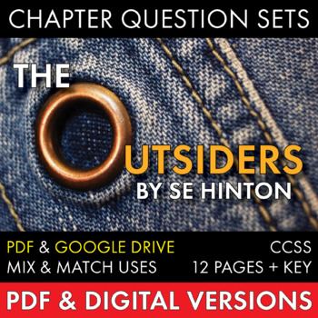 Preview of Outsiders Chapter Question Sets, S.E. Hinton's The Outsiders, PDF & Google Drive