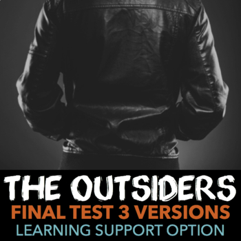 Preview of The Outsiders by S. E. Hinton Test — Multiple Versions, Learning Support Option