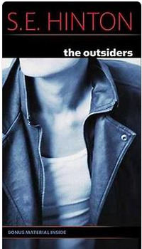 Preview of The Outsiders by S.E. Hinton unit bundle