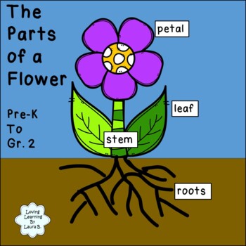 Preview of The Parts of a Flower Labeling Activity Pre-K and up - Printable and Digital