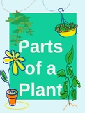 The Parts of a Plant We Can't Live Without!