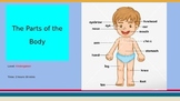 The Parts of the Body PowerPoint