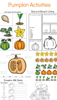 Preview of The Perfect Pumpkin Activities for Kids