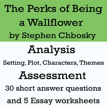 the perks of being a wallflower essay questions