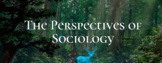The Perspectives of Sociology