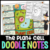 Plant Cells and Organelles Doodle Notes | Science Doodle Notes