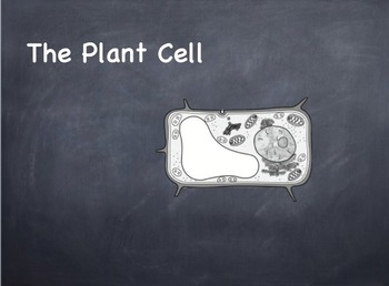 Preview of The Plant Cell Powerpoint Presentation Lesson