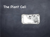 The Plant Cell Powerpoint Presentation Lesson