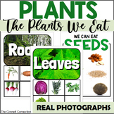 The Plants We Eat: A Parts of a Plant Sort