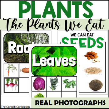 Preview of The Plants We Eat: A Parts of a Plant Sort