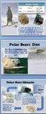 The Poles: Arctic & Antarctica (Google slides - Power Poin