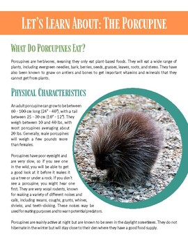 The explanation of your Porcupine! #yourporcupine #showerhair #showe