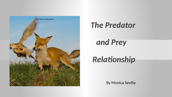 what does a good predator prey relationship mean
