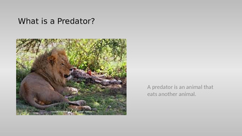 predator prey relationship urban dictionary