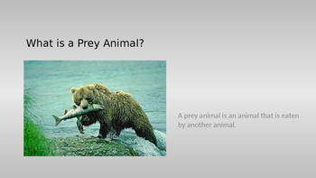 predator prey relationship urban dictionary