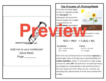 Preview of The Process of Photosynthesis Text Booklet