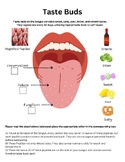 The Process of Taste and Smell