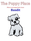 The Puppy Place - Bandit
