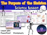 The Purpose of the Skeleton - Outstanding Science Lesson