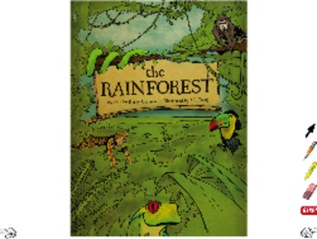 Preview of The Rain Forest - ActivInspire Flipchart