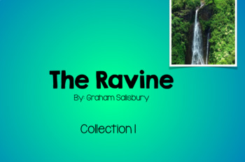 Preview of The Ravine Houghton Mifflin Harcourt Collections Graham Salisbury Power Point