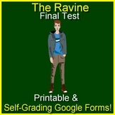 The Ravine TEST - 20 Multiple Choice Questions Printable A