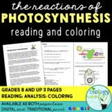Reactions of Photosynthesis: Reading and Coloring- supports distance learning