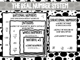 The Real Number System poster