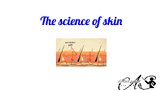 The Remarkable World of Your Skin