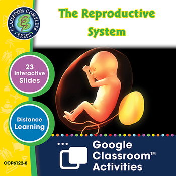 Preview of The Reproductive System - Google Slides Gr. 5-8