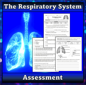 Preview of The Respiratory System Assessment - Quiz and Review Page