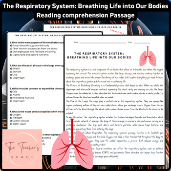 Preview of The Respiratory System: Breathing Life into Our Bodies Reading Comprehension....