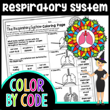 The Respiratory System Color By Number | Science Color By Number