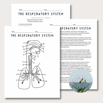 Preview of The Respiratory System Coloring Page