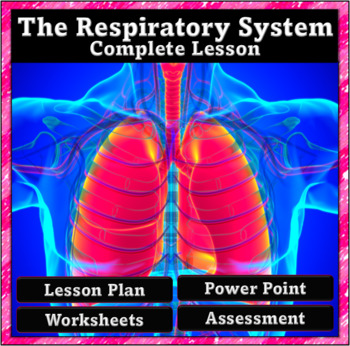 Preview of The Respiratory System - Complete Lesson, Power Point, Printables and Quiz