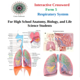 The Respiratory System - Interactive Crossword Activity - Version 5
