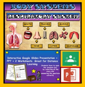 Preview of The Respiratory System: Interactive Google Slides + PPT + 2 worksheets