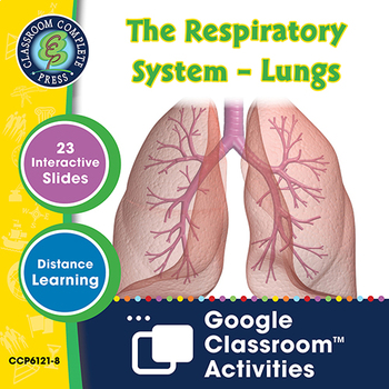 Preview of The Respiratory System – Lungs - Google Slides Gr. 5-8